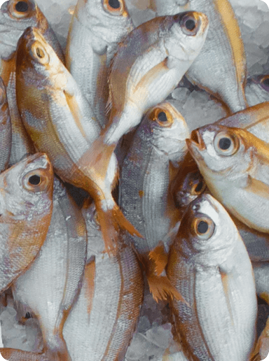 image6